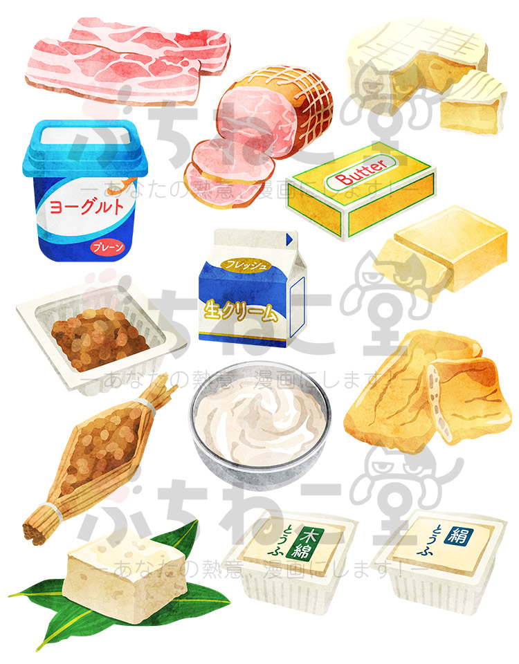 フードイラスト：乳製品・大豆製品・加工肉